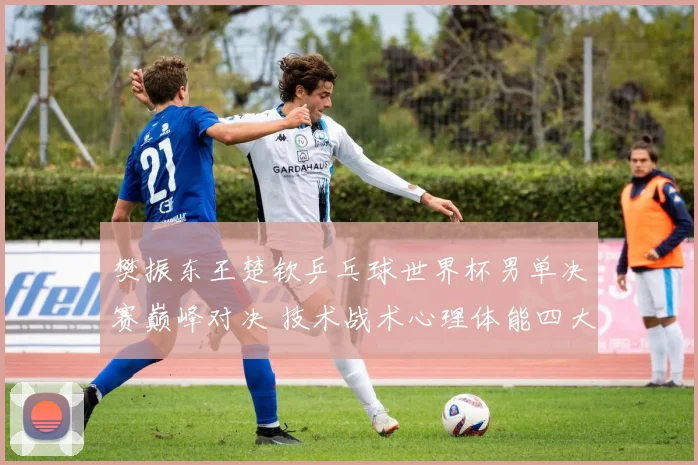 樊振东王楚钦乒乓球世界杯男单决赛巅峰对决 技术战术心理体能四大看点预测