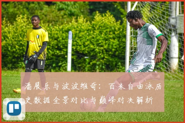 潘展乐与波波维奇：百米自由泳历史数据全景对比与巅峰对决解析